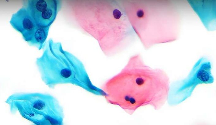 PathTezt Abstract floral pattern with soft pink and blue watercolour shapes on a light background.