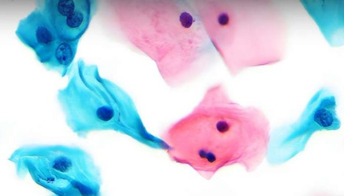 PathTezt Abstract floral pattern with soft pink and blue watercolour shapes on a light background.